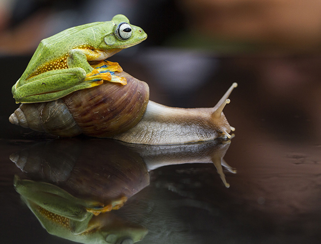 Rex/Shutterstock