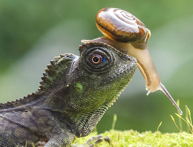 Rex/Shutterstock