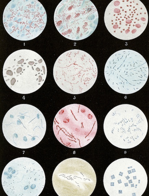 iStockphoto