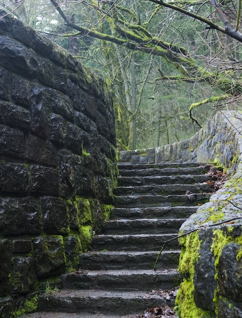 iStockphoto (not actual steps)