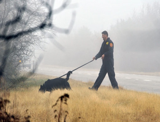 Police search for human remains (PA Photos)