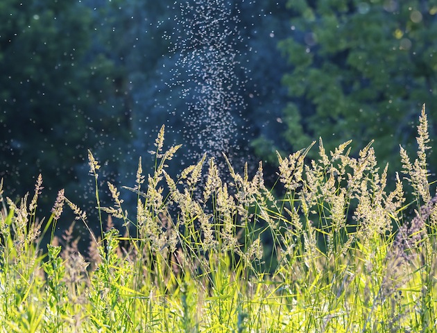 iStockphoto