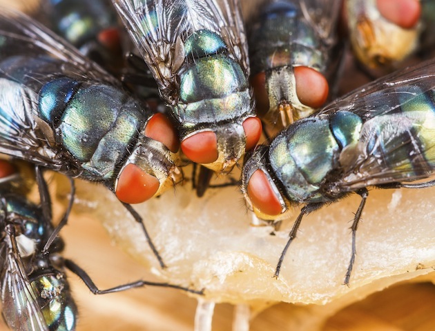 iStockphoto