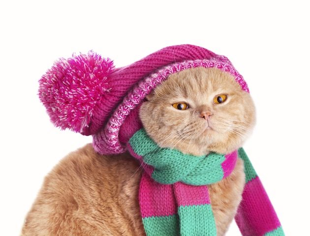 iStockphoto