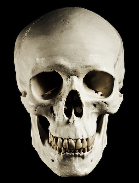 iStockphoto