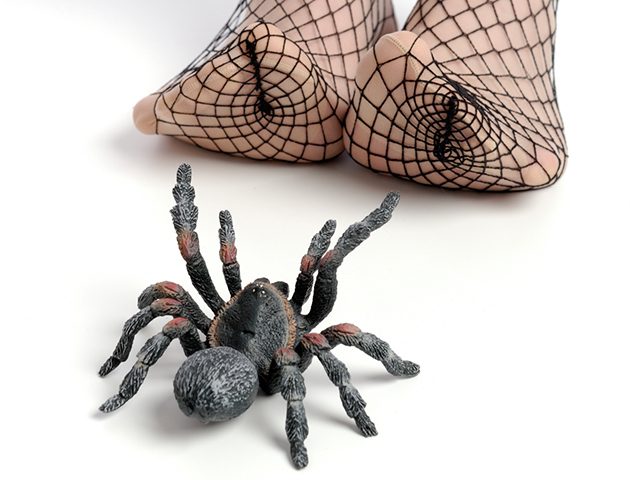 iStockphoto