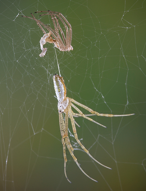 iStockphoto