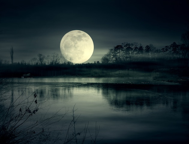 iStockphoto