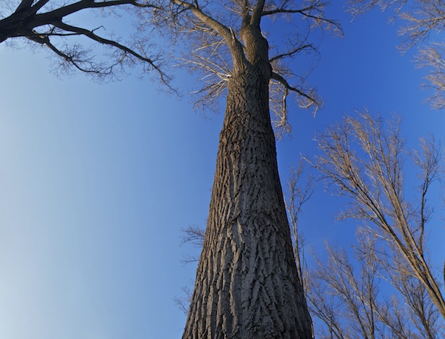 iStockphoto