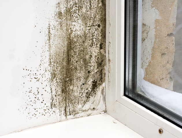 iStockphoto