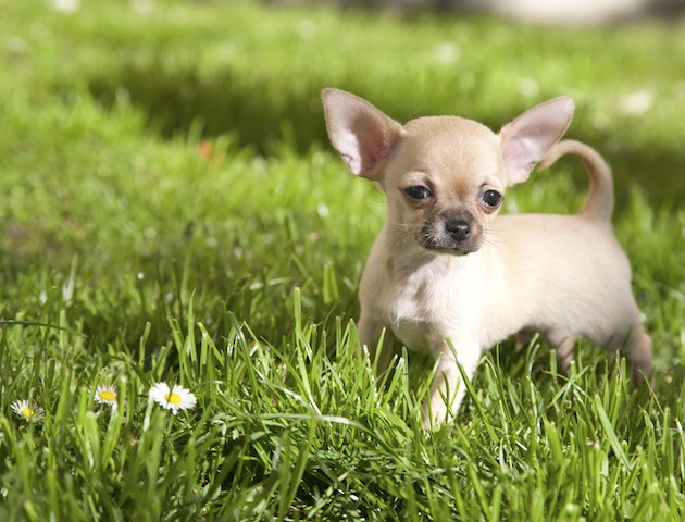 iStockphoto