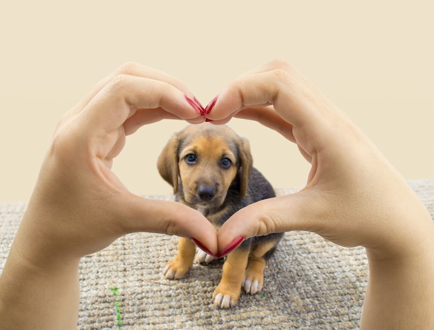 iStockphoto