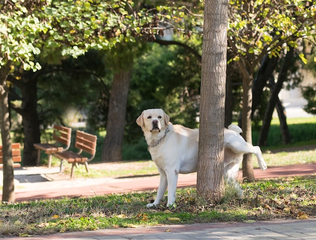 iStockphoto