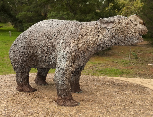 The Giant Wombat may have been on the menu REX/Shutterstock