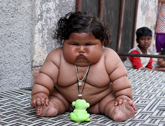 very fat baby