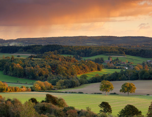 Surrey