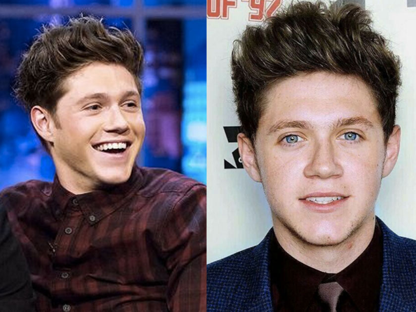 Niall Horan May Have Brown Hair And Fans Are Freaking Out Niall Horan