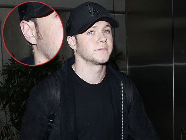 Niall Horan May Have Brown Hair And Fans Are Freaking Out