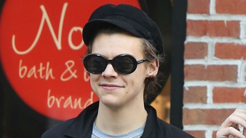‘He’s genuinely besotted’: Is Harry Styles secretly dating THIS popular blogger?