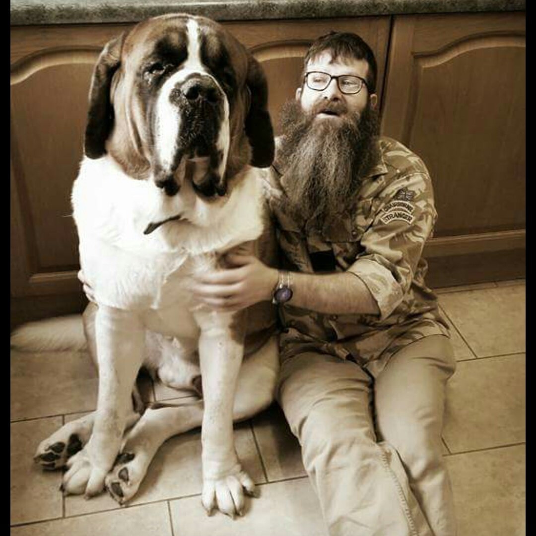 Gogglebox