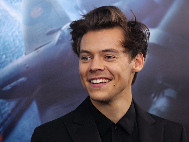 harry styles stalker