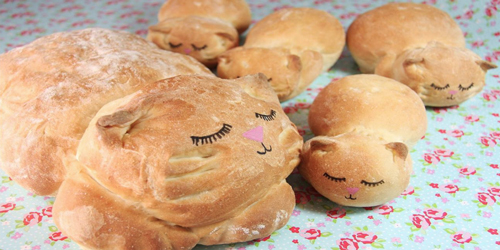 Is This The Greatest Baker Ever Things To Bake Cat Loaf