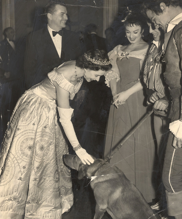 The Queen loves animals so much, that even as black tie events and balls, Elizabeth would break formalities to pet and interact with them!