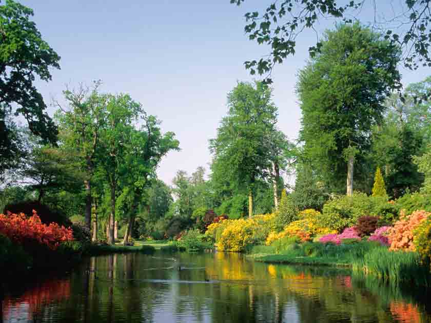 Savill Garden