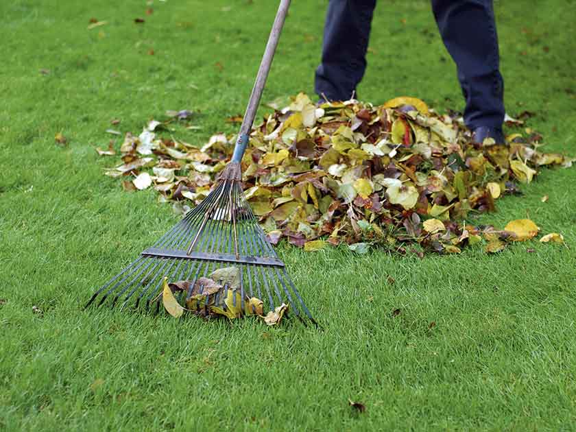 easy lawn care