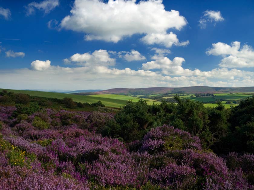 Exmoor