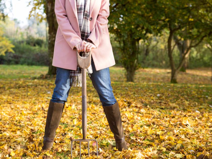 Weather-wise garden tips