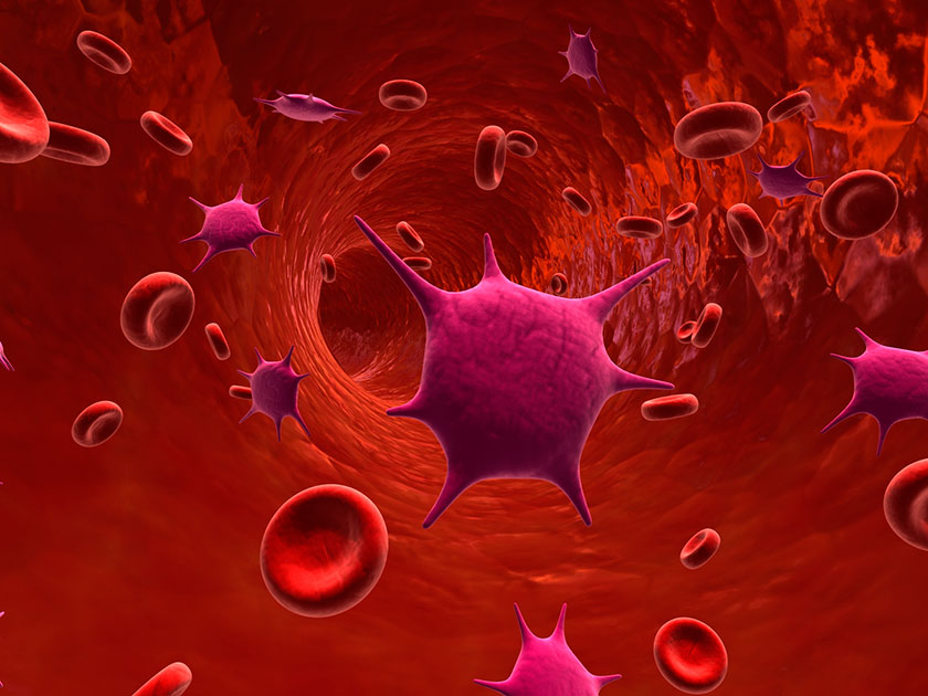 Blood