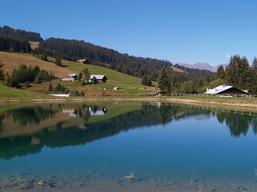 French Alps