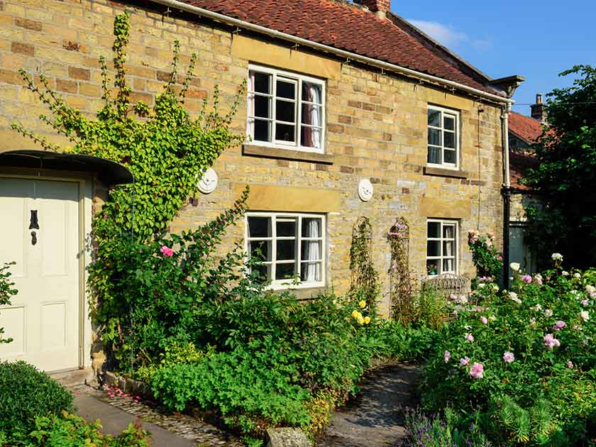 House with garden