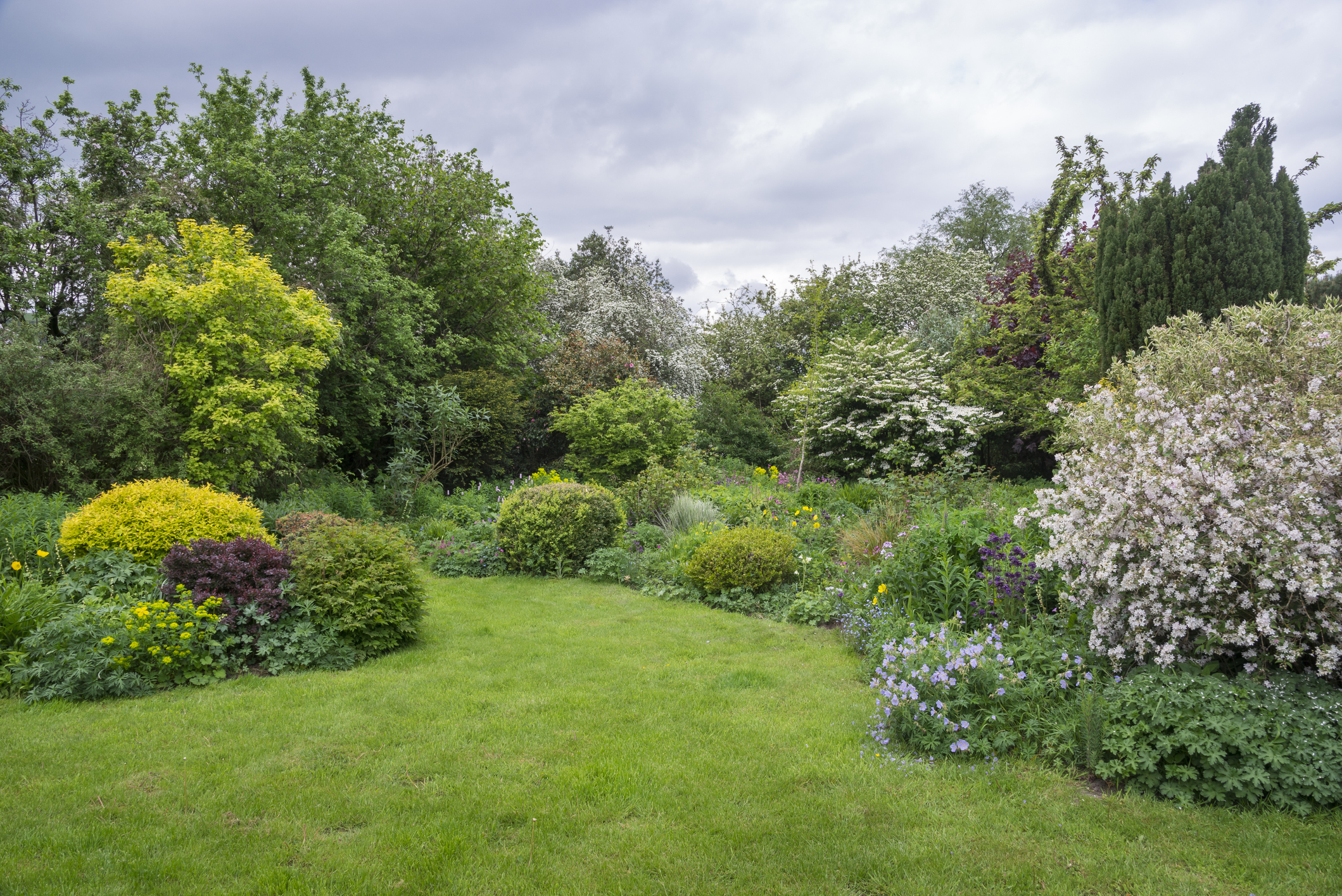 alternatives to a lawn
