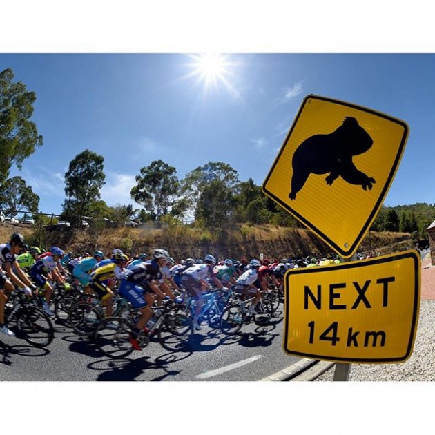 Image credit: Instagram - @TeamSky
