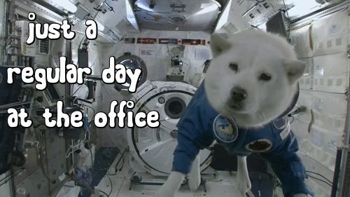 Image credit: Giphy