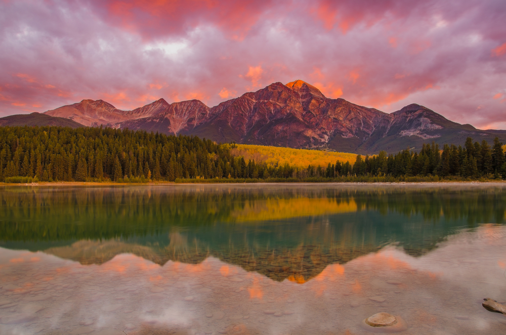 Image: Shutterstock
