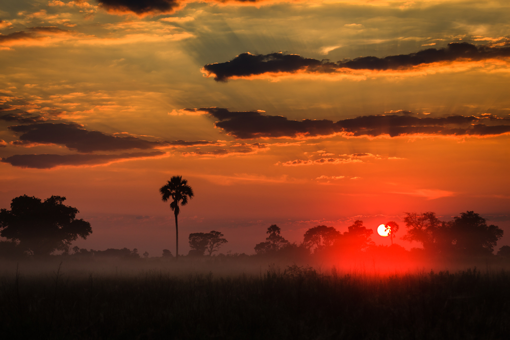 Image: Shutterstock