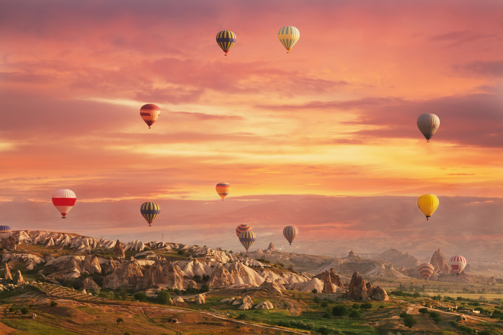 Image: Shutterstock