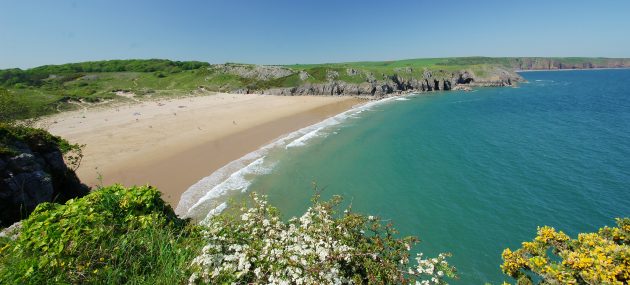 pembroke