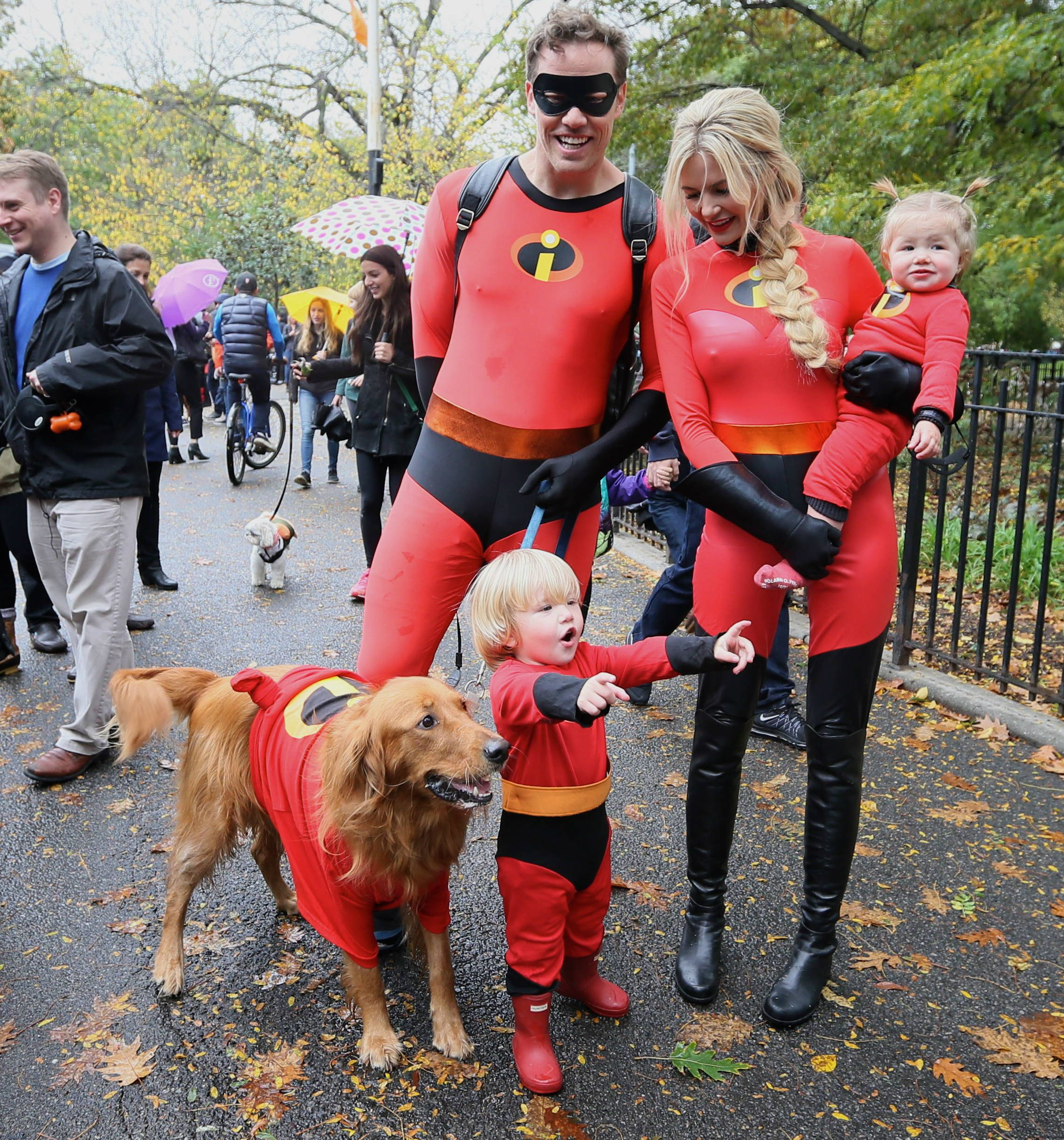 dog parade