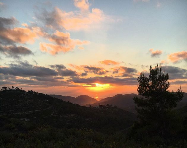 The Body Camp team host daily sunrise walks