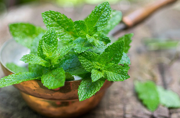 2. Try something herbal