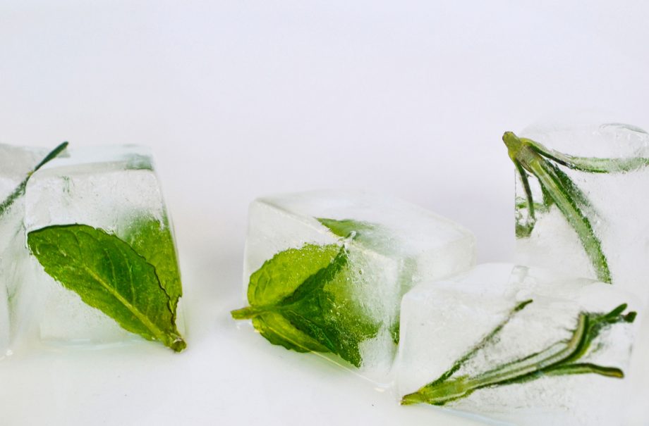 how to keep cool mint