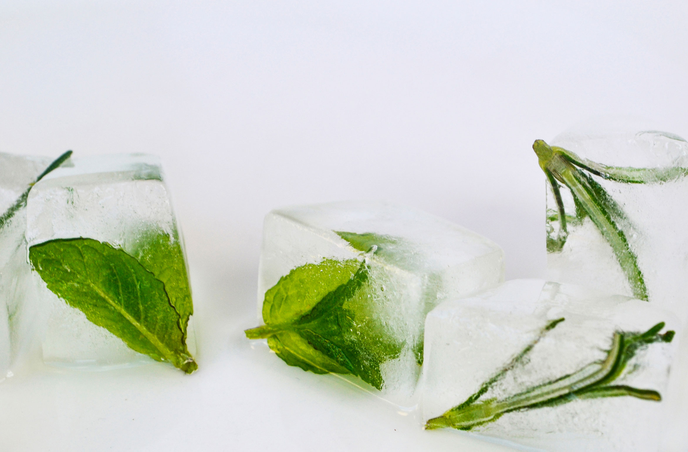 how to keep cool mint