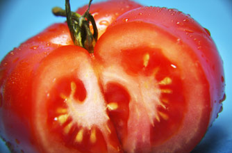 Tomato