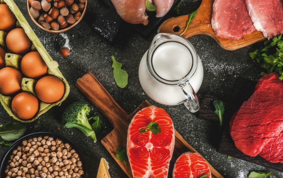 High protein diet how much weight can you lose