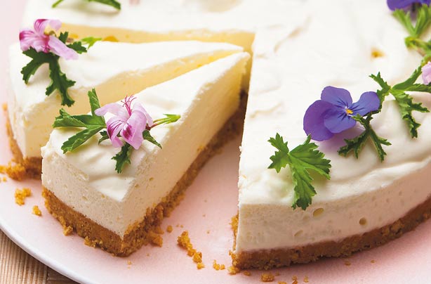 Lemon geranium cheesecake
