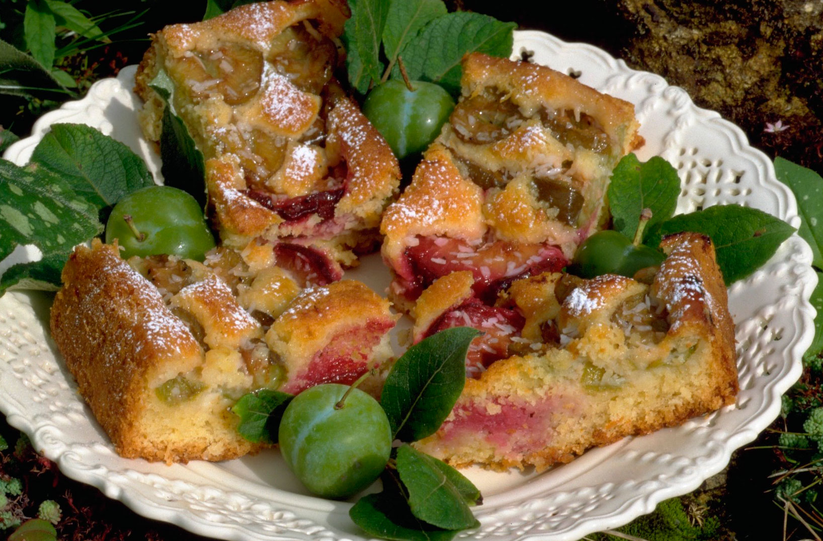 Plum and coconut cake